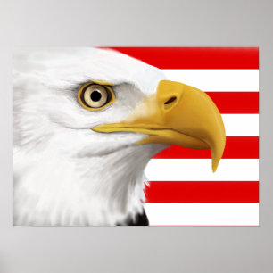 Eagle Poster