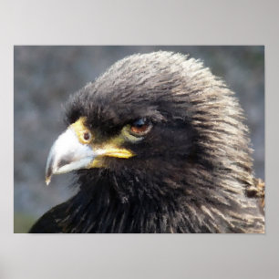 EAGLE POSTER