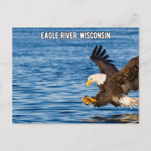 Eagle River Flying Eagle Wisconsin Postcard
