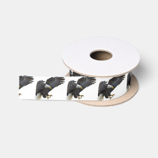 Eagle Satin Ribbon