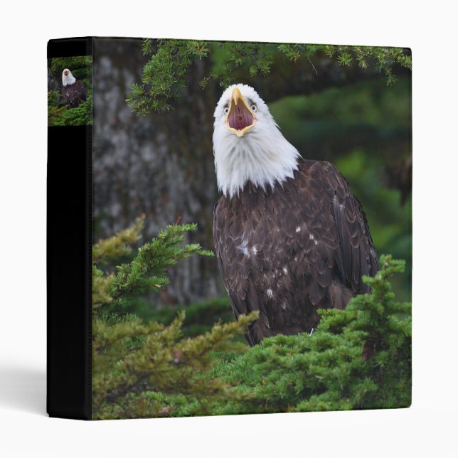 eagle screaming binder (Front/Spine)