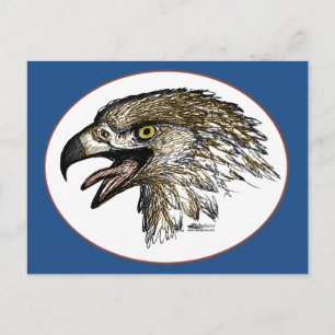 Eagle Screaming Postcard