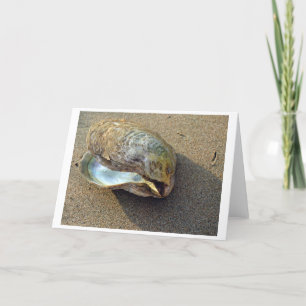Eagle Shell (Colour) Card
