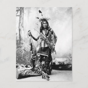 Eagle Shirt (Sioux) Postcard