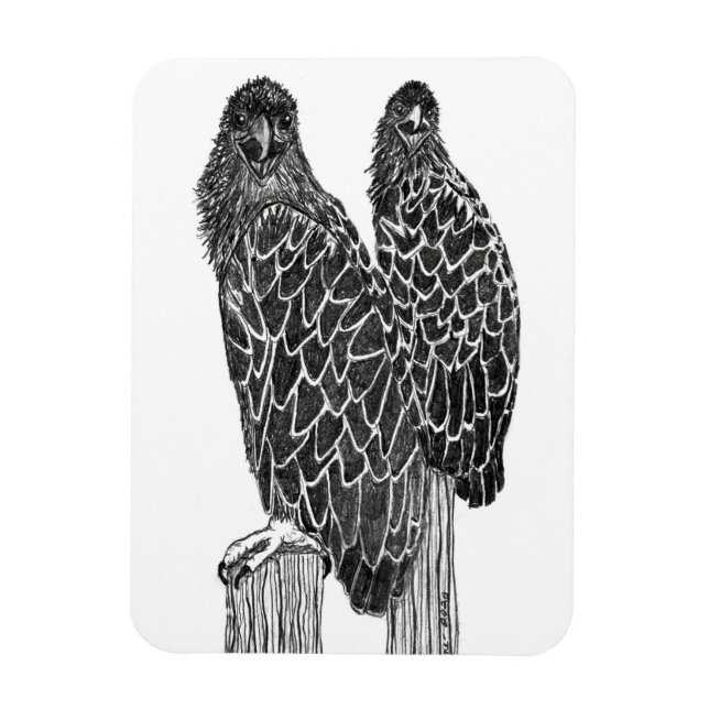 EAGLE SIBLINGS FUN LOUNGING + FISHING AT THE POND MAGNET (Vertical)