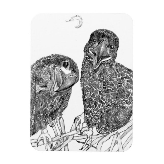EAGLE SIBLINGS HAVING FUN + FEATHER FRIEND GUIDE MAGNET (Vertical)