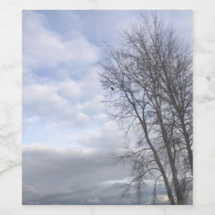 eagle sky wine label