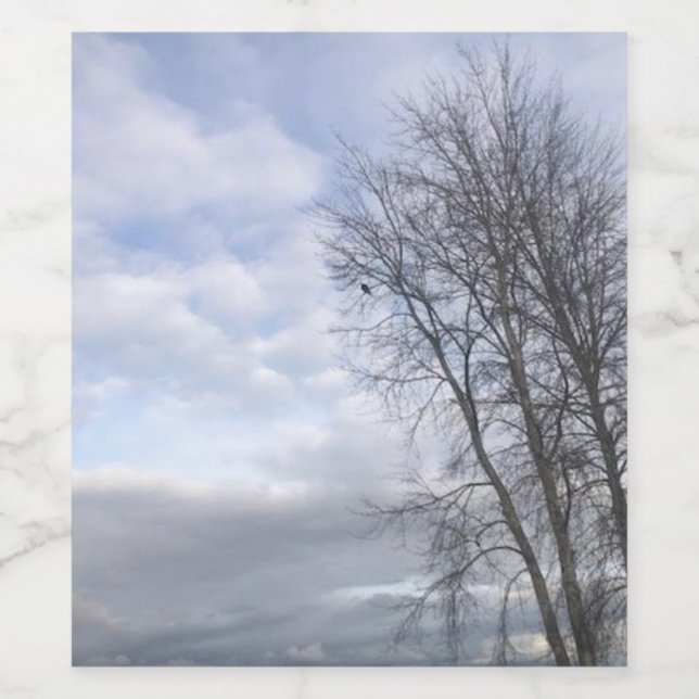 eagle sky wine label (Single Label)