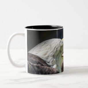 Eagle snack Two-Tone coffee mug