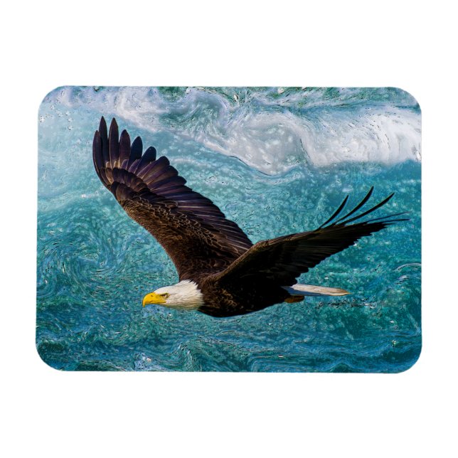 Eagle Soaring Above the Storm Magnet (Horizontal)