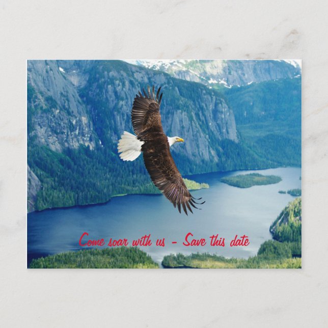 Eagle soaring Invitation Postcard (Front)
