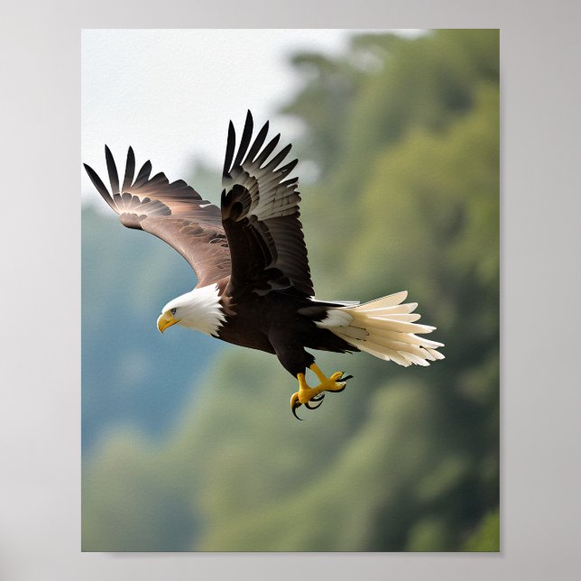 Eagle Soaring Through the Sky Poster (Front)