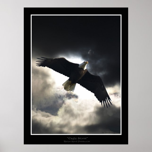 "Eagle Storm"  Poster (Front)