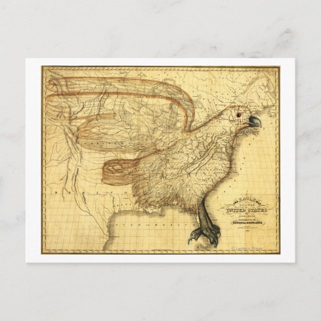 Eagle Superimposed on the United States Postcard (Front)