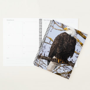 Eagle Symbolism Calendar Planner