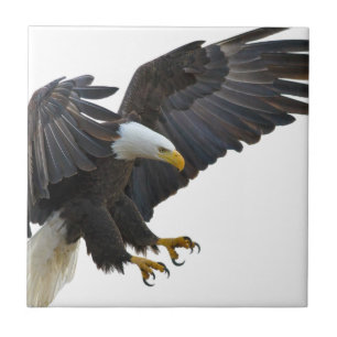 Eagle Tile