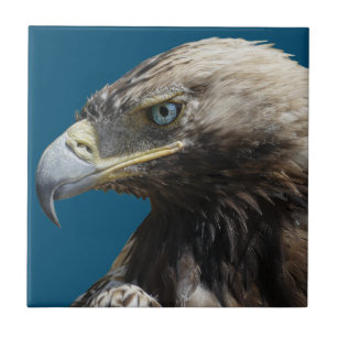 Eagle Tile