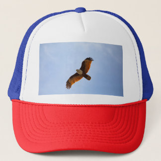 eagle trucker hat