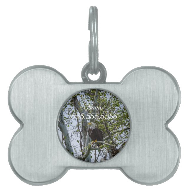 Eagle Watch Out Pet ID Tag (Front)