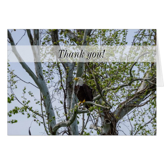 Eagle Watch Out Thank You Card (Front Horizontal)