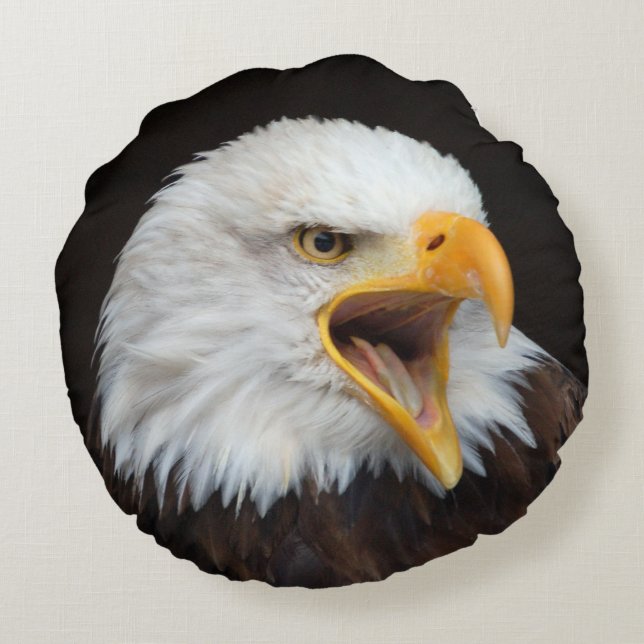 EAGLE White-headed eagle KISSEN / PILLOW / COUSSIN (Back)