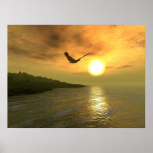 EagleCoast Poster