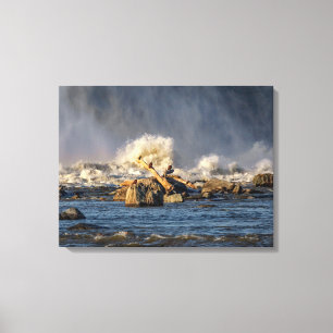 Eagles And Rough Water Canvas Print
