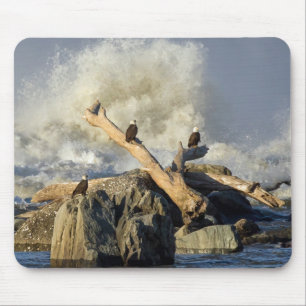 Eagles and Rough Water Mouse Pad