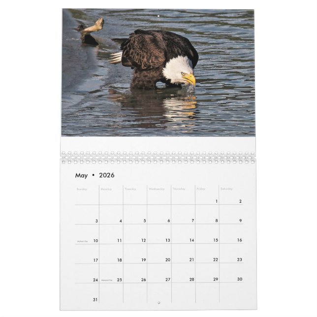 Eagles by Tamara Calendar (May 2026)