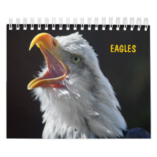 Eagles Calendar