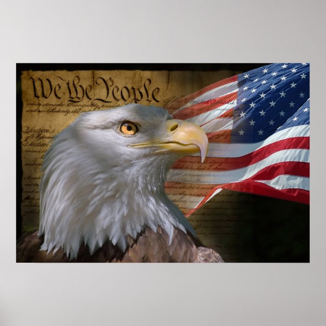 Eagle's Collage Poster (Front)