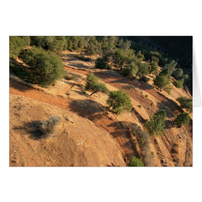 eAgLe'S eYe vIeW (Front Horizontal)