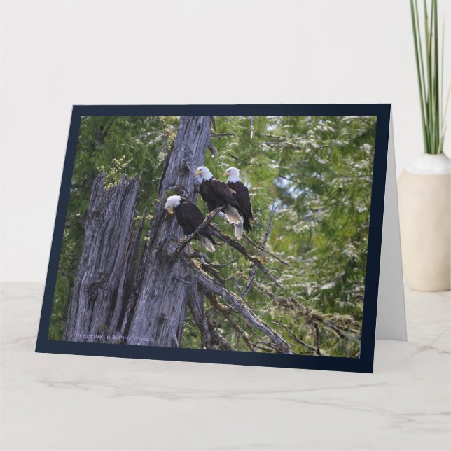 Eagles Hanging Out Folded Greeting Card (Front)