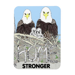 EAGLES HARRIET, M15, E17 + E18 BOOK- HOME STRONGER MAGNET