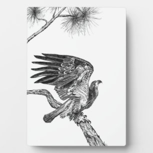 EAGLES HARRIET +M15 HOME SECOND NATURE MY WORLD    PLAQUE