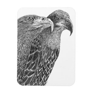 EAGLES HARRIET + M FLURRY OF FEATHERS & FRIENDS  MAGNET