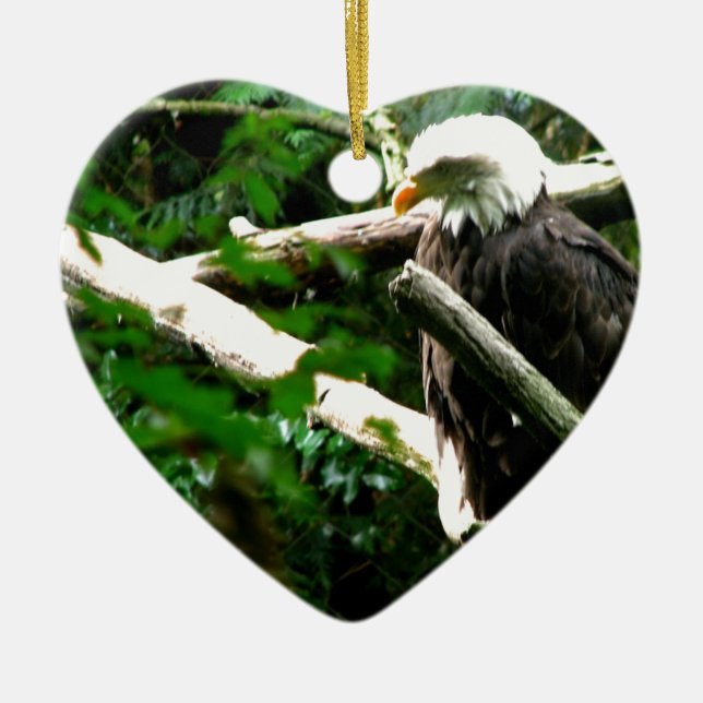 Eagles Nest Ceramic Ornament (Front)