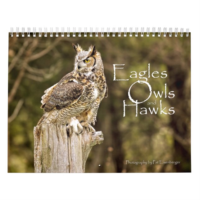 Eagles, Owls and Hawks Wildlife Calendar (Cover)