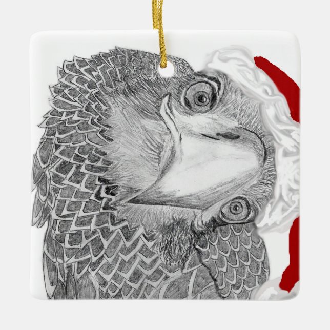 Eaglet E9 says Who Is That? Christmas Ornament (Front)