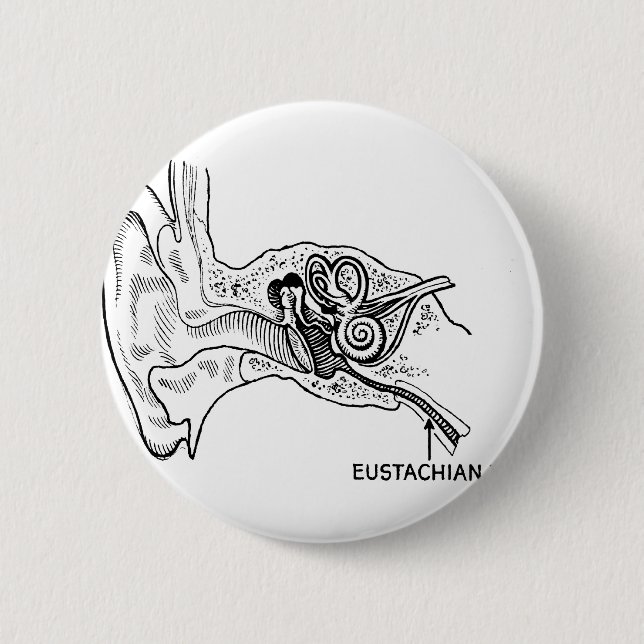 Ear diagram 2 inch round button (Front)
