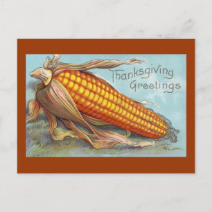 Ear of Corn Vintage Thanksgiving Holiday Postcard