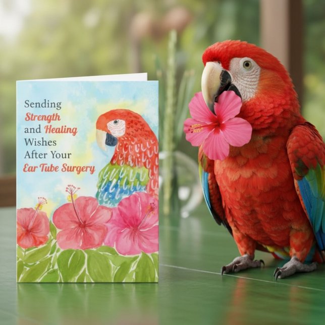 Ear Tube Surgery Healing Scarlet Macaws, Hibiscus Card (Creator Uploaded)
