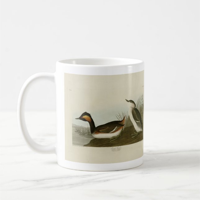 Eared Grebe (Black-necked grebe) - Audubon Coffee Mug (Left)