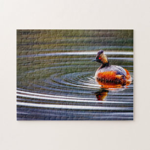 Eared Grebe Duck Wyoming. Jigsaw Puzzle