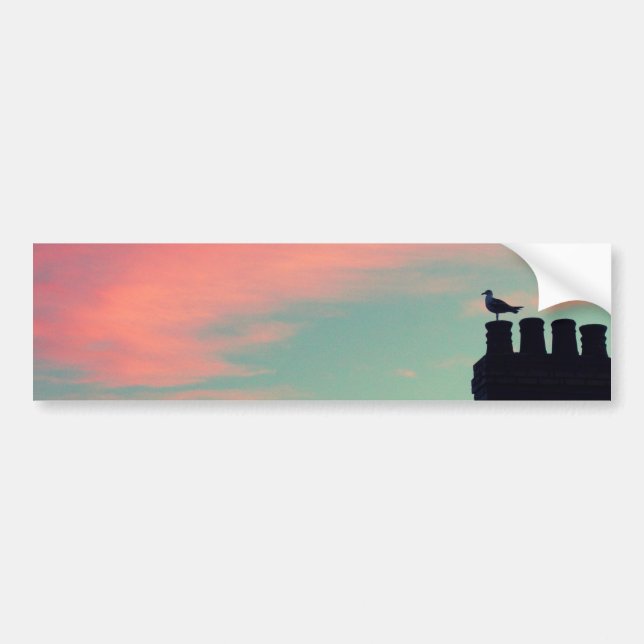 Early Bird Bumper Sticker (Front)