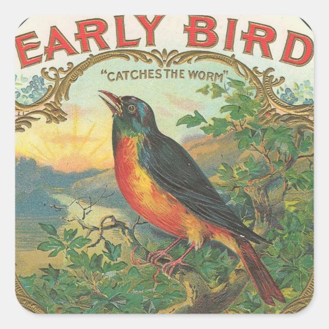 Early Bird Square Sticker (Front)