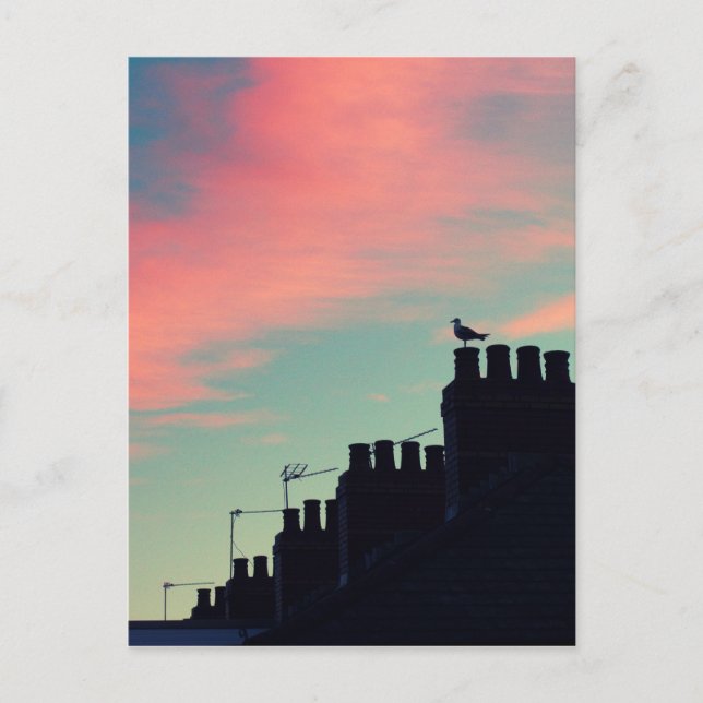 Early Birds Postcard (Front)