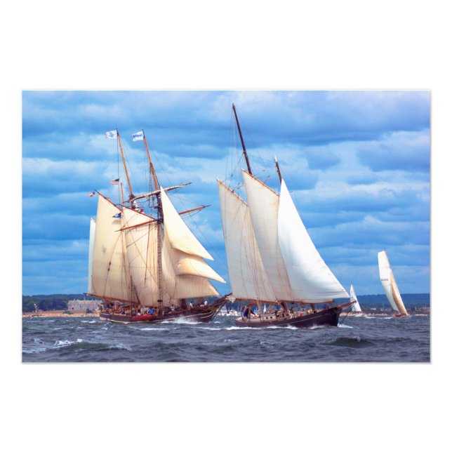 Early Contenders Photo Print (Front)