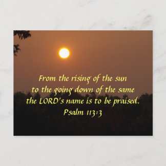 Early Dawn Late June Postcard