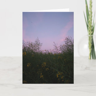 early evening amongst the foliage card